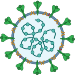 Image of a stylised green COVID-19 virus